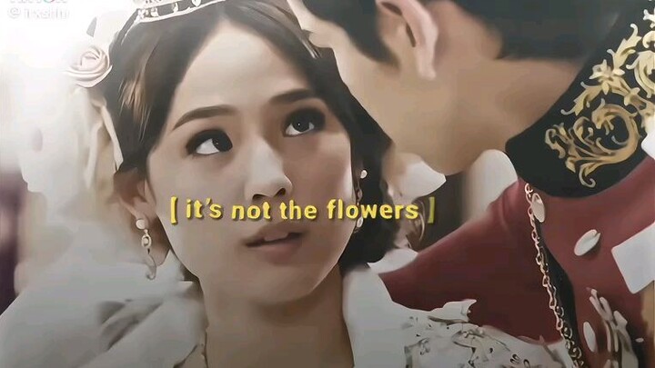 #princess hours