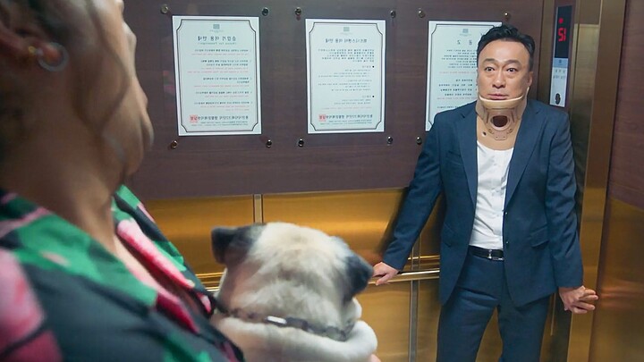 Man Gets Urinated on by a Dog, Then Suddenly Understands Dogs—and Becomes a Pet Detective!