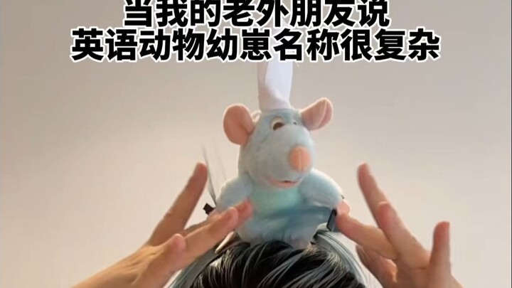 No prize guessing: What other animal’s baby is called a foal?