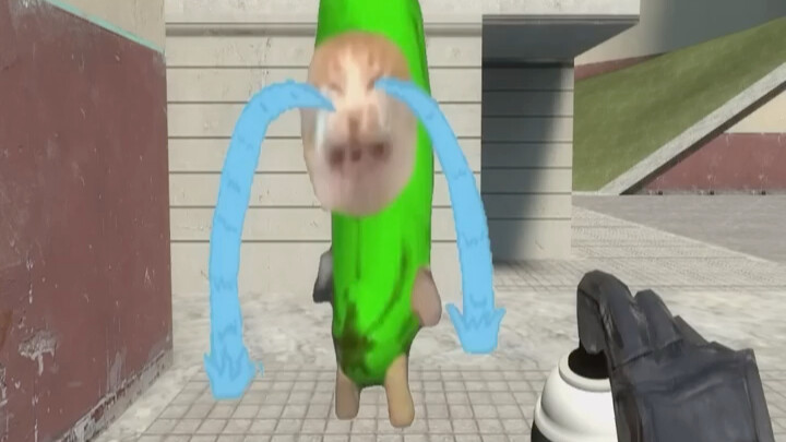 كيف تبدو التجربة عندما تحول قطة الموز إلى اللون الأخضر؟