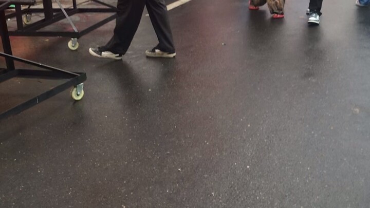 Sinulog 2026 in Cebu City🥰