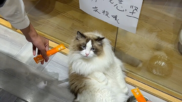 “Teach a Man to Fish”