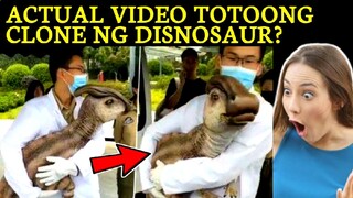 ACTUAL VIDEO NG CLONE NG DINAOSAUR | KAKAIBANG PANGYAYARI NAKUHANAN NG CAMERA