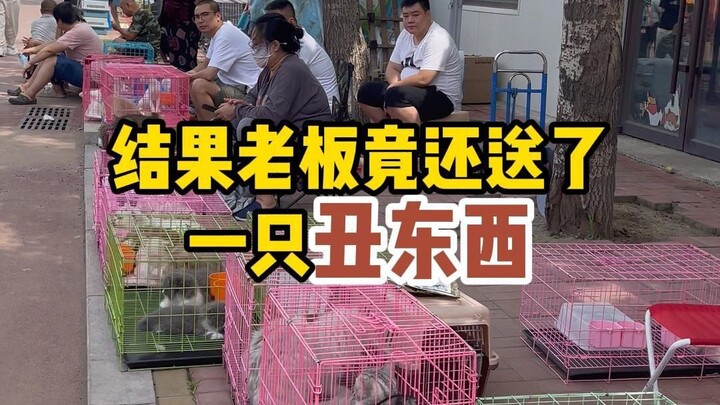 ตลาดแมวค้นหาแมว เจ้าของยังแถมสิ่งน่าเกลียดมาอีกหนึ่งตัว