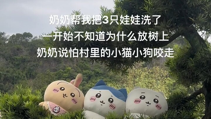 大妹子，你这视角卡的可以进娱乐圈了~