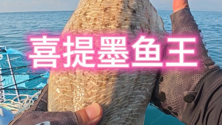 ทั้งทะเลเต็มไปด้วยปลาเลย ไม่มีใครจัดการบ้างเหรอ?