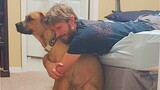 The Unconditional Love Of Dogs and Their Humans Is Incredible   Cute Animals Show Love