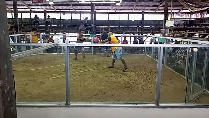 2wins sta josefa cockpit 1stfyt win 2ndfyt,d na fyt thnks G