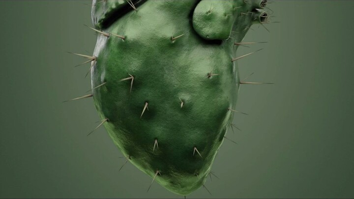 What do you see in a beating heart?