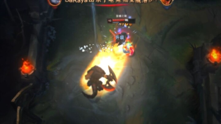 استمتع بالتفاصيل الصغيرة لشعب الجويدل!