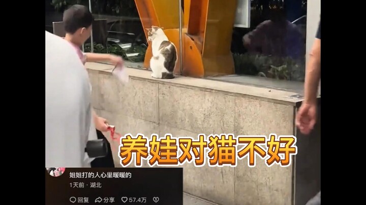 Keluarga yang punya anak, jangan sekali-kali pelihara kucing, itu tidak baik bagi kucing!