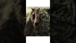 Unleashing the Undead: Tiger Turned Zombie - A Thrilling Encounter! Movie recapped.