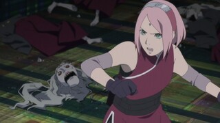Sakura moves