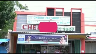 Cherry Pet Shop