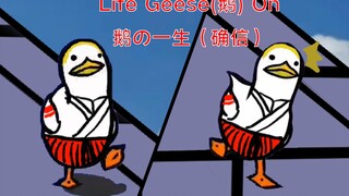 Life Geese On