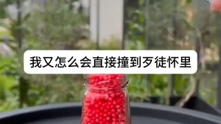 Setelah terlahir kembali, aku memutuskan untuk tidak memilih pengawal, tapi dia malah menyesal hingg