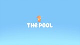 Bluey | S01E22 - The Pool (Tagalog Dubbed)