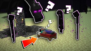 Veteran MC player: Sleeping in the End will cause an explosion! Newbie: Let me try! ...Huh???