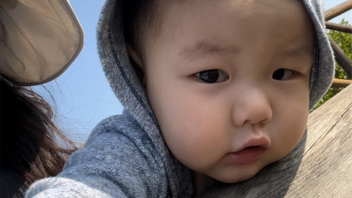 ทั้งคู่ทะเลาะกันโดยไม่ได้ตั้งใจ มาดูกันว่าลูกหมีวัย 2 ขวบจะไกล่เกลี่ยการทะเลาะกันอย่างไร [มุมมองของล