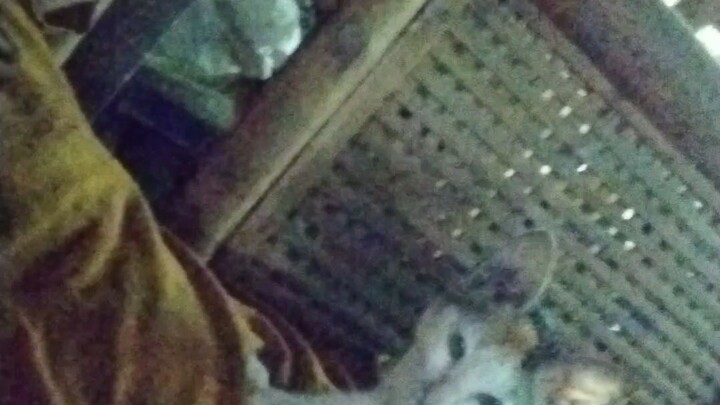 it Yung senyales my trust Siya sa tao