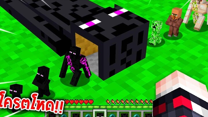 🔥โคตรโหด!!【"จะเป็นไง ถ้าเรากลายเป็นEndermanสุดโหด!!"】 (Minecraft Datapack)