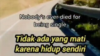 motivasi hidup 🌳