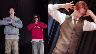 هيكلة نسختين مختلفتين من رولي رولي!