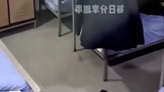 真是个小机灵鬼