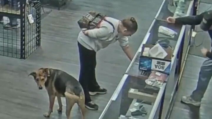Knocked to the ground while buying a gun at a gun store