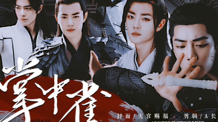 【肖战水仙】掌中雀•第八集|强取豪夺| 甜虐|三染三•时婴 大梁三千文士，甘为裙下之臣