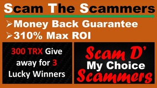 Scam the Scammers My Choice I Tron Chain Review I Tron Chain legit or scam