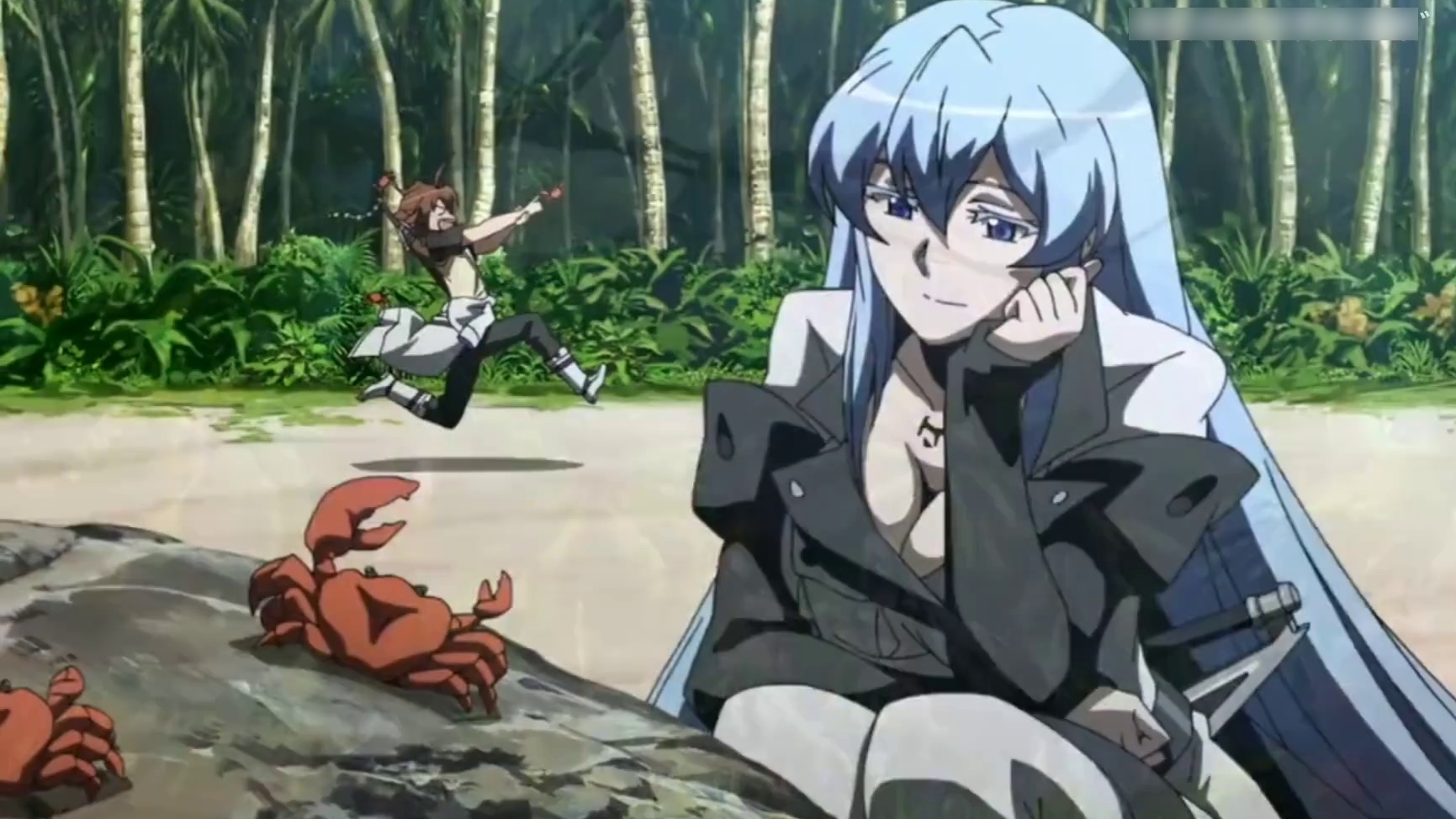 Anime|Akame Ga Kill|Villain Esdese - BiliBili