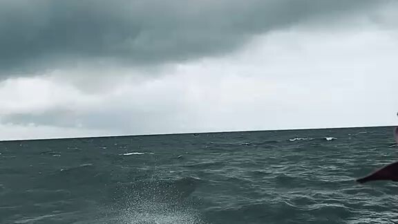 sea #sea #toxicmovie #toxic