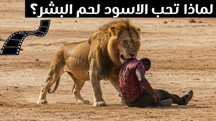 Why do lions love human flesh?
