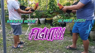 NAVAJERO MCRAE VS GILMORE HATCH SPAR!!       JRP BACKYARD