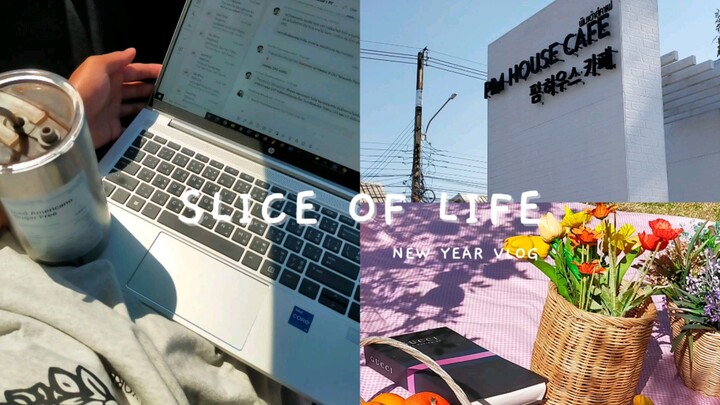 "New Year Bliss: A Week in My Life as a Uni Student Returning to Khon Kaen Province 🎉📚 | Vlog 2024
