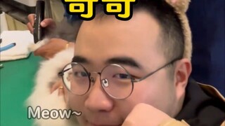 哥哥，你挡到我看猫猫了