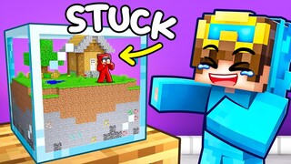 I Pranked My Friend with a TINY Minecraft World!