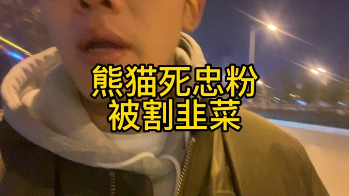 熊猫乳清为什么不行！