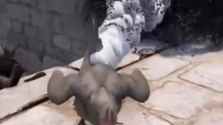 如果看完这个视频不笑，说明你抑郁了