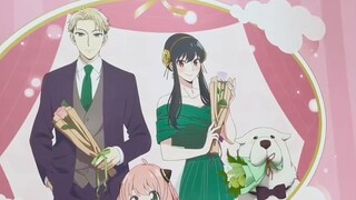 SPY×FAMILY pop-up store - an IKEA more suitable for the physique of 2D babies