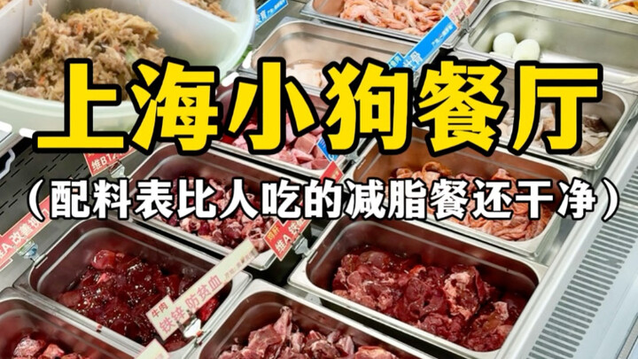 เซี่ยงไฮ้เจ้าล้ำสมัยเกินไปแล้ว! มีร้านอาหารสำหรับน้องหมาจริงๆ ด้วย อาหารยังดีกว่าคนอีก!