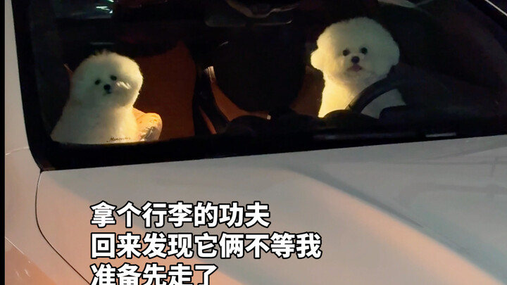 الصداقة بين ثلاثة أشخاص مزدحمة جدًا!