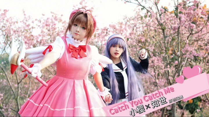 Double the cuteness! Sakura × Tomoyo’s original duet choreography for “Catch You Catch Me” is here~