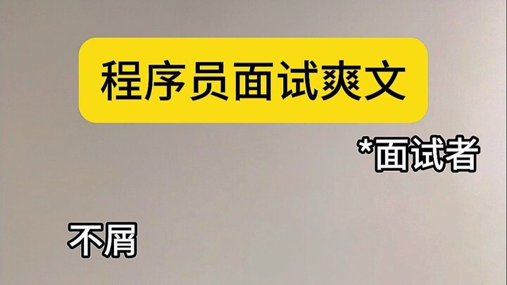 A Hilarious Programmer Job-Interview Story