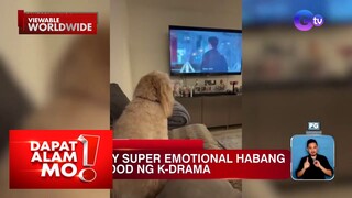 Fur baby, naging emotional habang nanonood ng K-drama | Dapat Alam Mo!