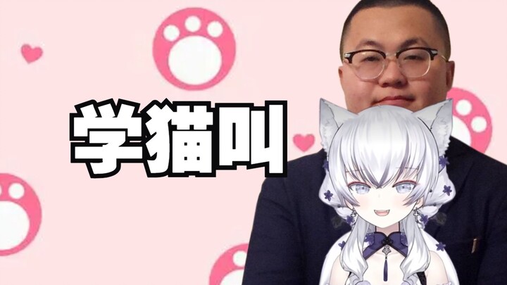 [AI Sun Xiaochuan × Dong Xuelian] ❤️Learning to Meow❤️