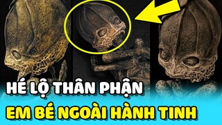 💥Hé lộ THÂN PHẬN THẬT SỰ về "EM BÉ NGOÀI HÀNH TINH" từng gây hoang mang | TIN GIẢI TRÍ