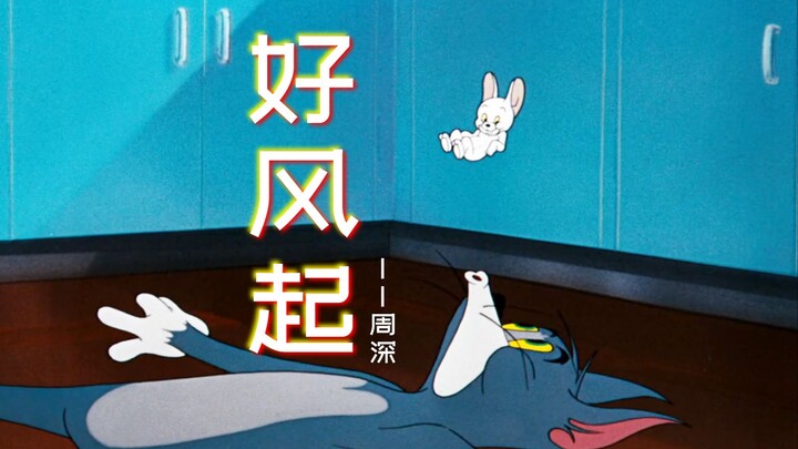 这才是《好风起》原版MV