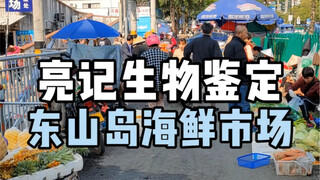 Identifikasi makanan laut di pasar Pulau Dongshan di Fujian